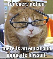 for-every-action-there-is-an-equal-and-opposite-lawsuit