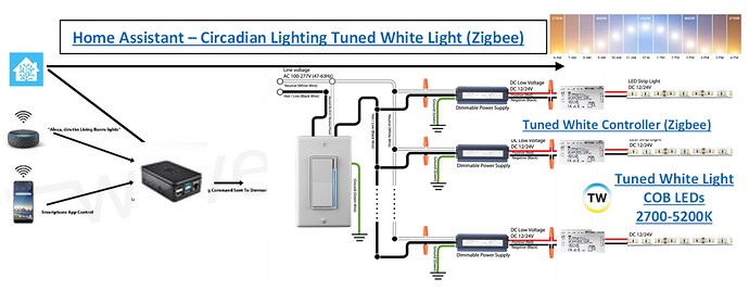 Blue - Circadian LED Lighting