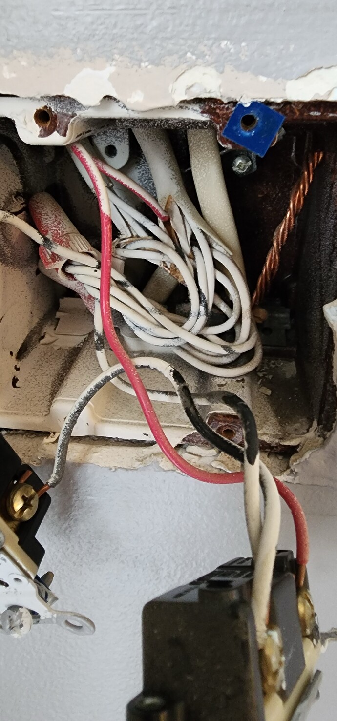 20250206_135558_Original